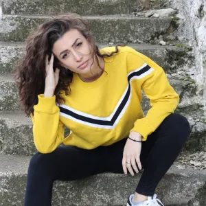 Honey Chevron Stripe Cropped Sweatshirt